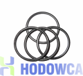 Dosatron DIA4 uszczelka 8J040VF