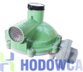 reduktor-gaz copy.jpg