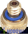 SK437936_2.png