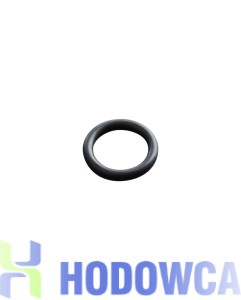 Dosatron D25 uszczelka 20J002