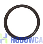 Dosatron D25RE5 o-ring seal  20J024 