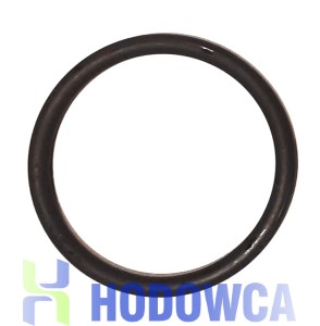 Dosatron D25RE5 uszczelka 20J024
