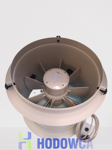 IMG_20221123_112849-removebg-preview.png