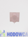 IMG_20221123_112448-removebg-preview.png