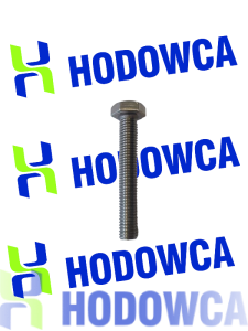 Śruba M10 x 65 nierdzewna 