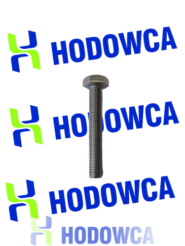 Śruba M10 x 65 nierdzewna.png