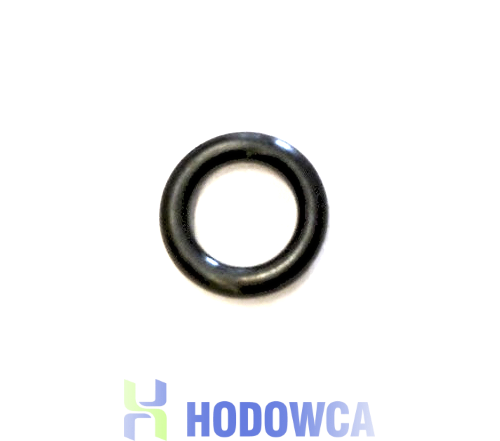 Oring filtra dyszy Skov