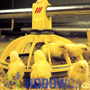 The Minimax Classic feeder