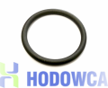 Uszczelka J024 do dozownika DOSATRON D25