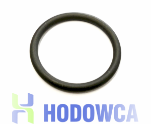 Uszczelka J024 do dozownika DOSATRON D25