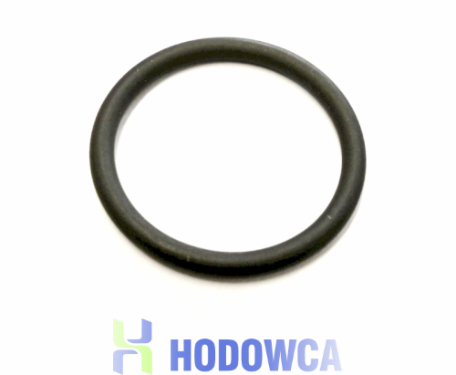 Uszczelka J024 do dozownika DOSATRON D25