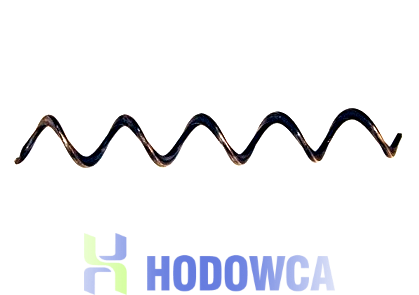 Spirala Roxell wzdłużna﻿