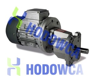 Drive unit 0.37 kW (engine + gearbox)