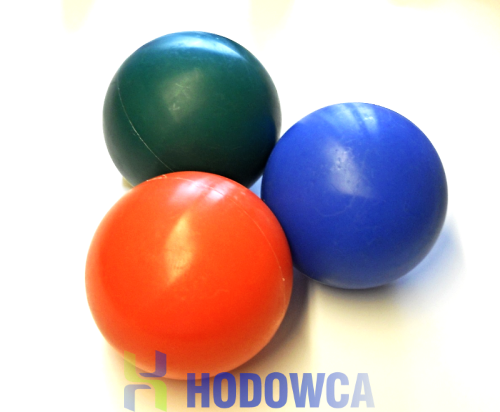 Piłka dla warchlaków